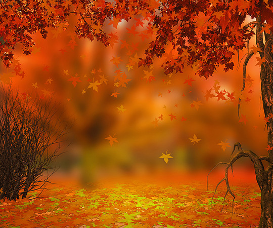 Autumn Background