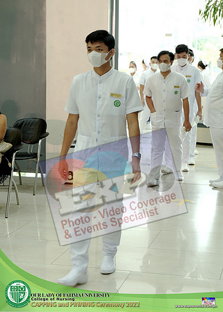 AL B1 71022 (74)